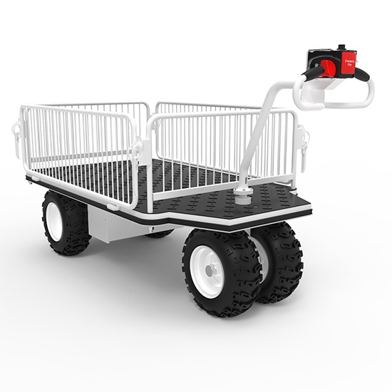 Electric Platform Cart